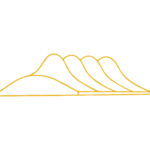 Stage Design & Setup